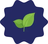 Good source of fiber